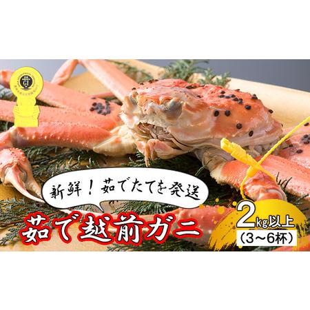 ふるさと納税 茹で越前ガニ食通もうなる本場の味をぜひ、ご堪能ください。 約2kg以上（3〜6杯）訳あり（脚折れ含む）越前がに 越前.. 福井県若狭町