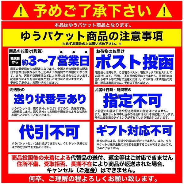 冷麺 盛岡冷麺 4食セット スープ付き ピリ辛スープ 1食100g×4袋