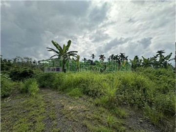 嘉義住商一銀 中埔大坪數丙種建地｜嘉義縣中埔鄉隆恩段