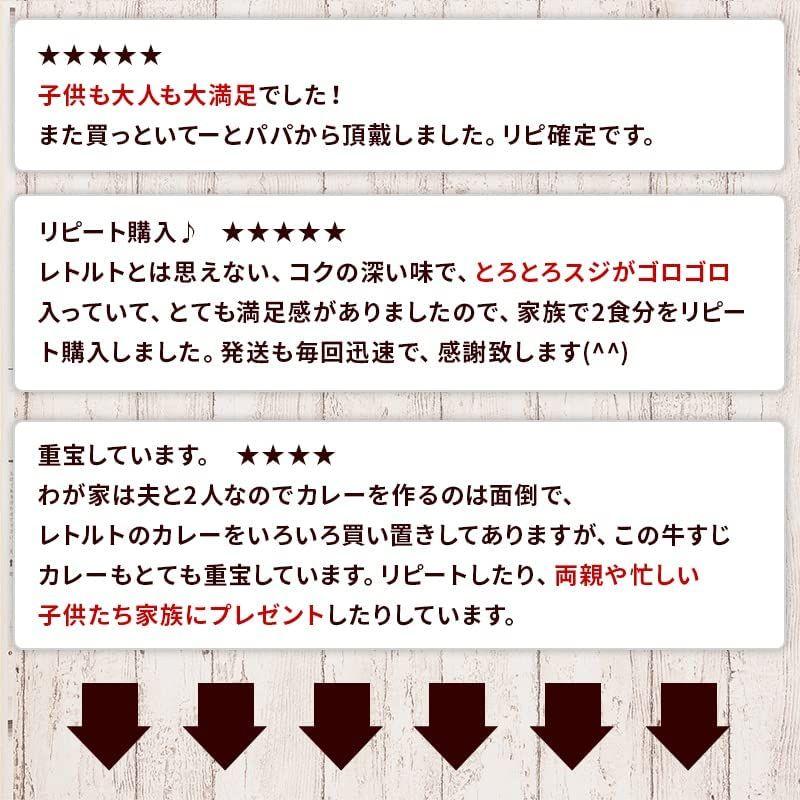 九州のごちそう便 博多 牛すじカレー 3パック入り レトルトカレー 国内製造 国産牛すじ使用