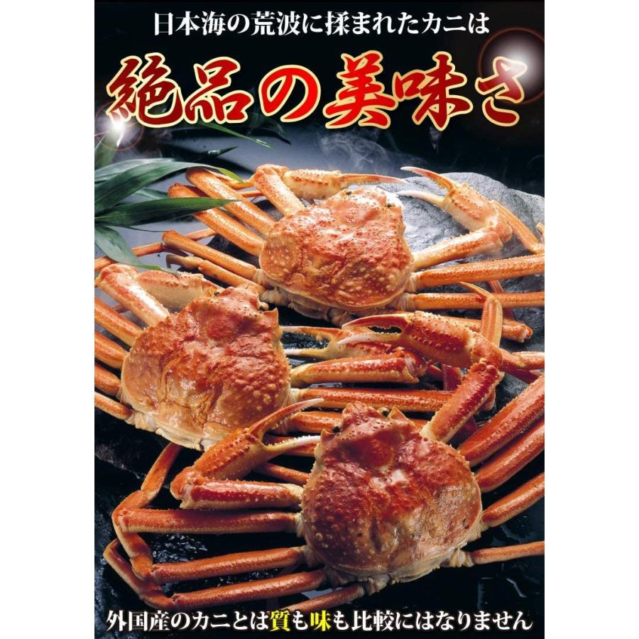 松葉ガニ 訳あり(活)小サイズ2枚で800g前後 1落ち程度