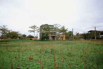 【稀有釋出★羅東運動公園旁農地】｜宜蘭縣羅東鎮北成一段