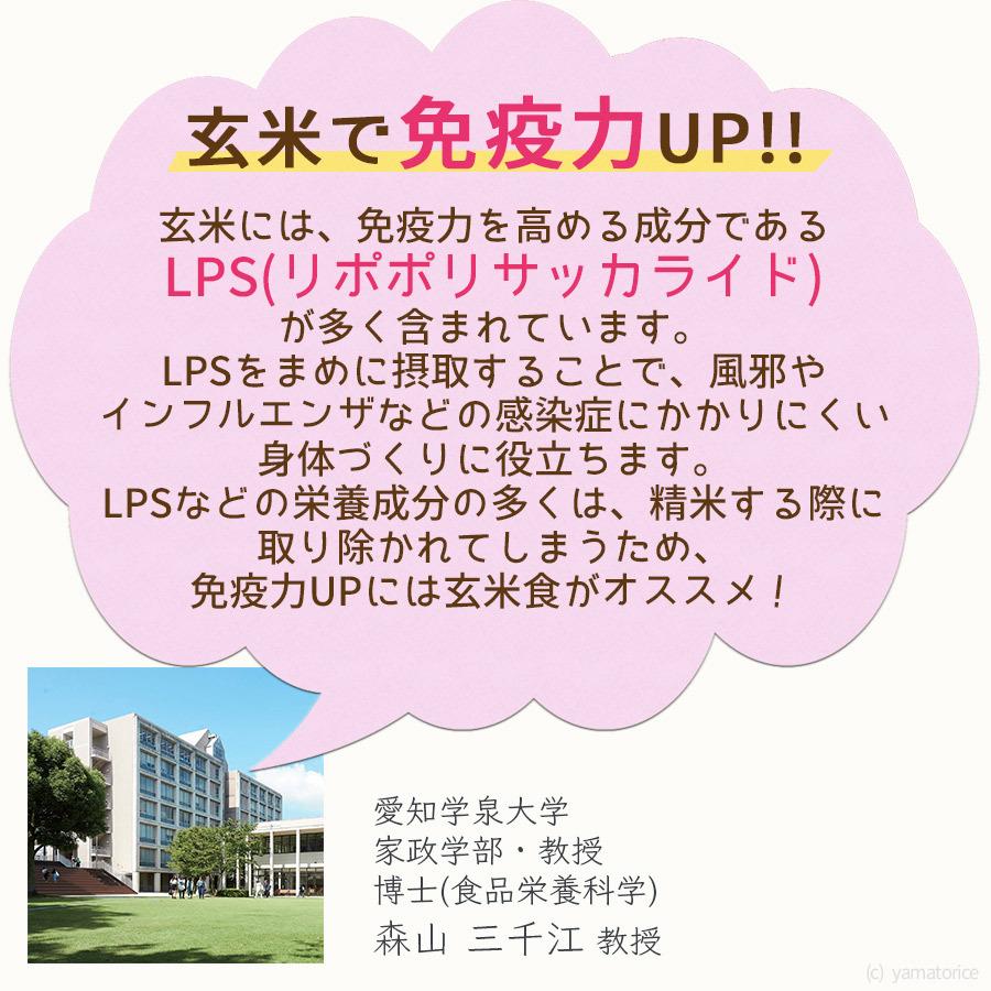 玄米 コシヒカリ 白米と同じように炊けるやわらかい玄米 8kg 2kg×4 富山県産 令和5年産 ビタミンB6 ビタミンE