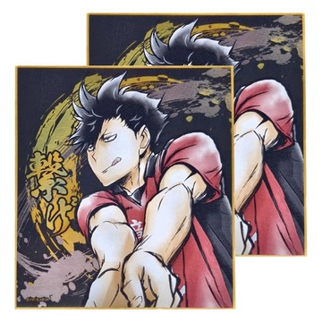 Haikyu 排球少年!! 激鬥!!閃亮色紙 黑尾鐵朗  1色  2個