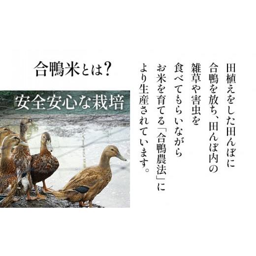 ふるさと納税 福岡県 大木町 令和5年産 予約 合鴨米「ヒノヒカリ」（玄米・10kg）定期便6回コース 数量限定 ※令和5年10月中旬スタートの定期便 BI05