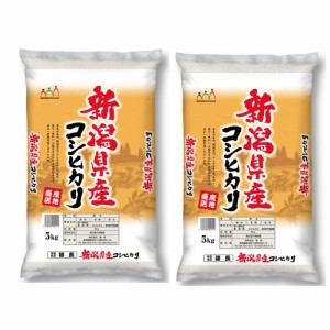 送料無料 新潟産コシヒカリ（みのり） 5Kg×2   お米 お取り寄せ グルメ 食品 ギフト プレゼント おすすめ お歳暮