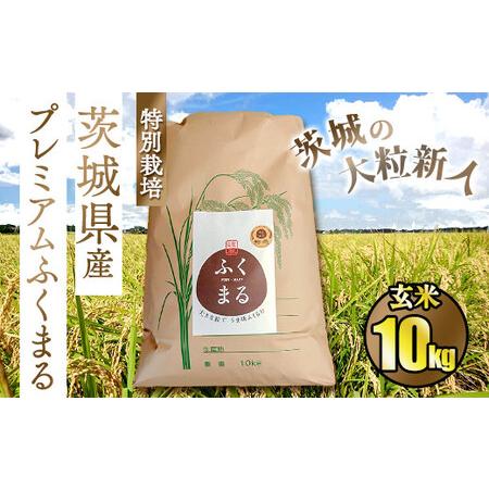 ふるさと納税 ☆茨城の大粒新人 プレミアムふくまる特別栽培米10kg 茨城県守谷市