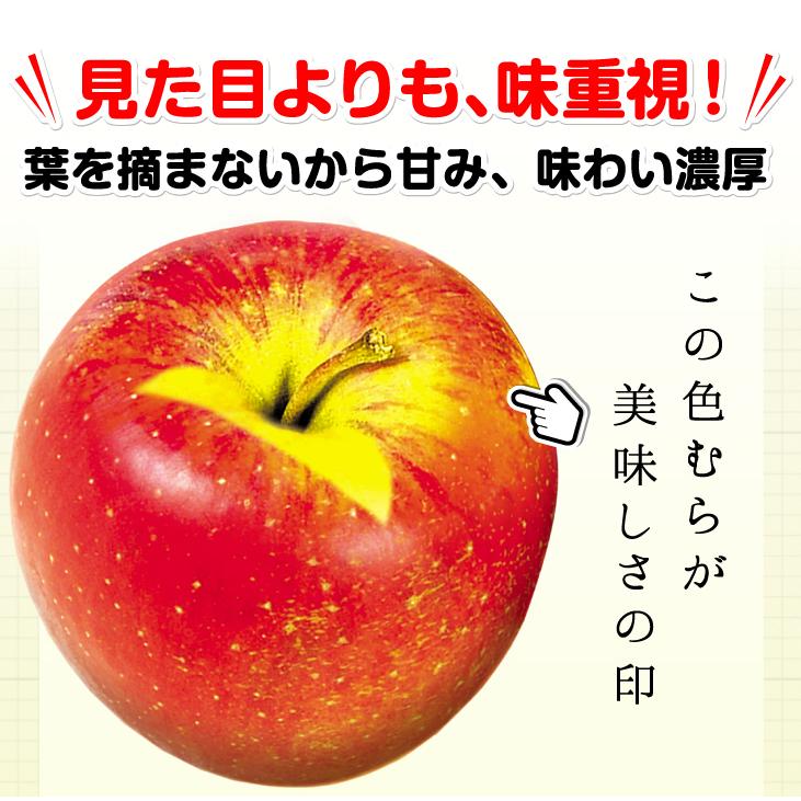 りんご 10kg 葉とらずふじ 青森産 ご家庭用 送料無料 食品