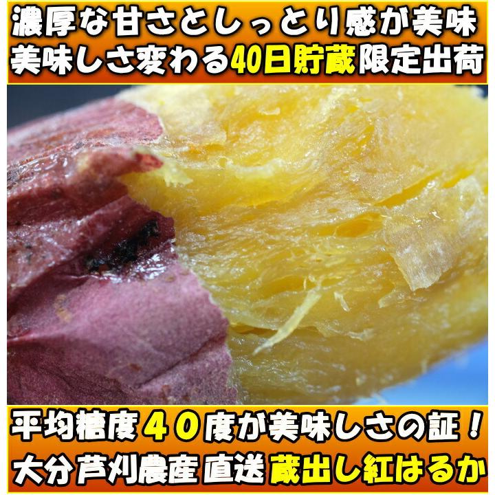 さつまいも 紅はるか 3.5kg  l〜m or S 甘い 熟成 贈答用 お歳暮 大分 芦刈農産 ねっとり ギフト プレゼント