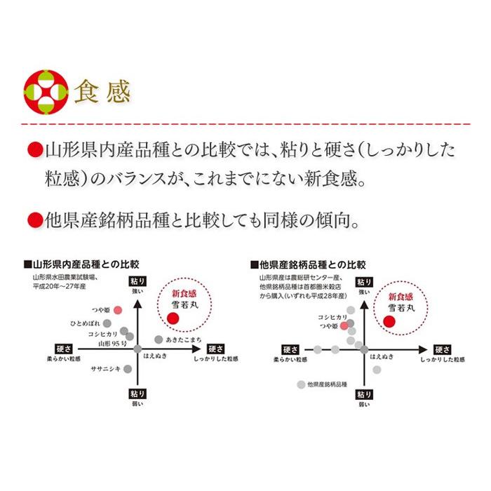 令和5年産 山形県産 雪若丸 5kg お米 ご飯 ライス 白米 粒立ち