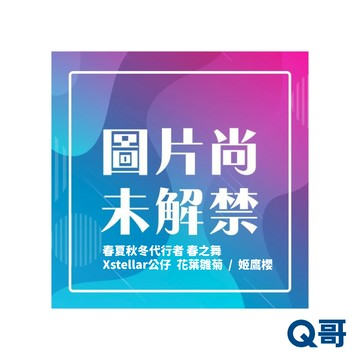 SEGA PRIZE 景品 春夏秋冬代行者 春之舞 Xstellar公仔 花葉雛菊 姬鷹櫻 公仔 模型 Q哥