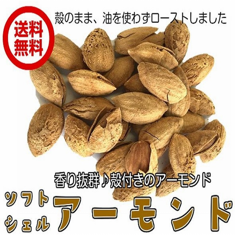 殻付きアーモンド ソフトシェルアーモンド80g 3p お試し商品 ナッツ アーモンド 全国送料無料 通販 Lineポイント最大1 0 Get Lineショッピング