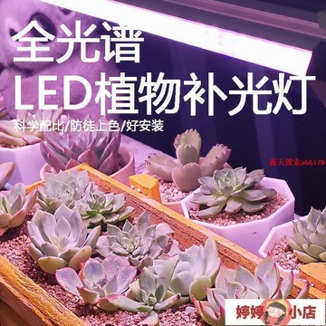 ED植物生長燈全光譜多肉補光燈家用室內上色防徒長花卉仿太陽光