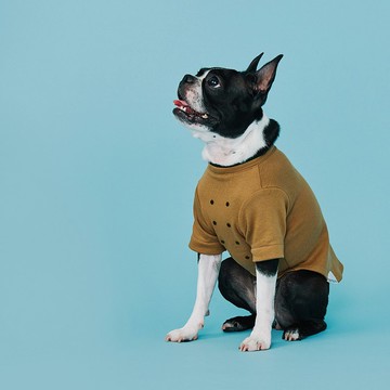 #解放乳頭  Free the Nipple / 貓狗可穿上衣 - 卡其色