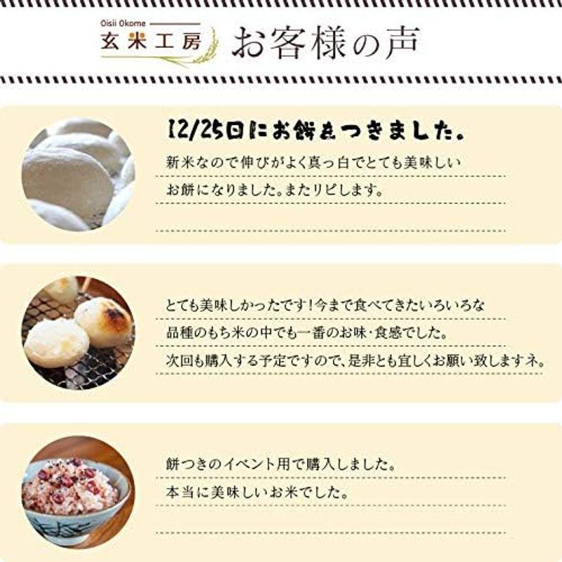 玄米令和4年 福島県産こがねもち １等米 30kg（10kg×3）