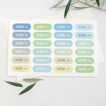 橢圓形純色塊 / E款 防水姓名貼(192小張.霧面) 24小時出貨