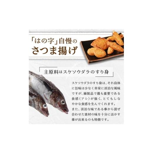 ふるさと納税 静岡県 焼津市 a13-012　訳あり さつま揚げ 約1.5kg 焼津産 黒はんぺん 付