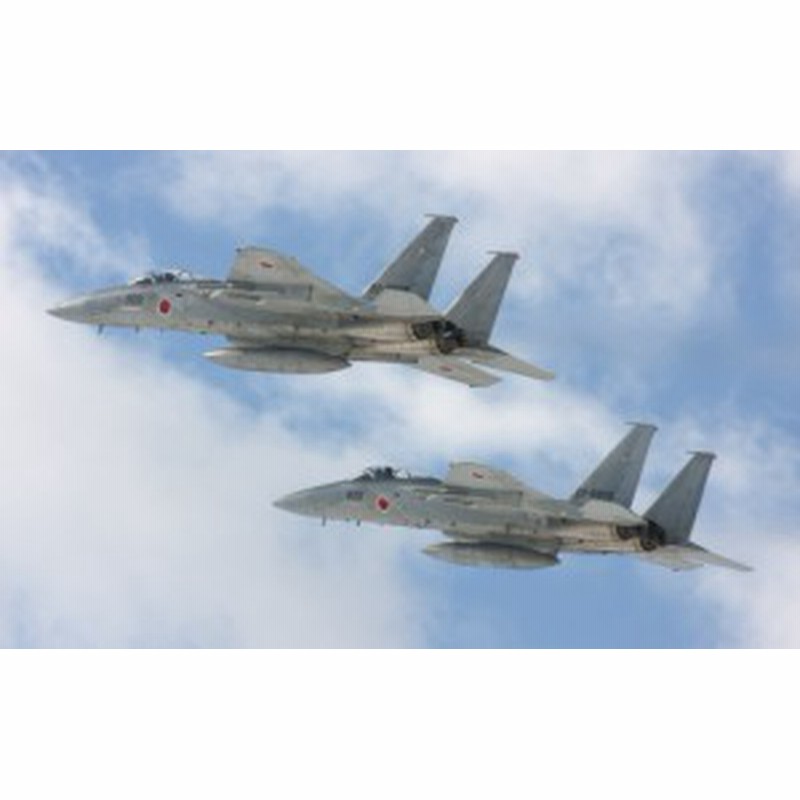 絵画風 壁紙ポスター 航空自衛隊 戦闘機 F 15j イーグル Jasdf 空自 自衛隊 Jsdf Jasd 007w2 ワイド版 603mm 376mm 通販 Lineポイント最大3 0 Get Lineショッピング