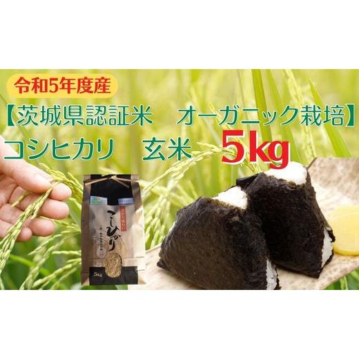 ふるさと納税 茨城県 利根町 コシヒカリ　玄米5kg