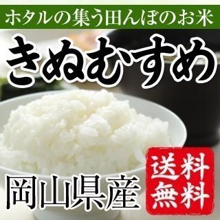 令和5年産　ほたるの集う田んぼのお米　岡山県産きぬむすめ（白米）10kg(5kg×2袋） 送料無料(一部地域を除く)