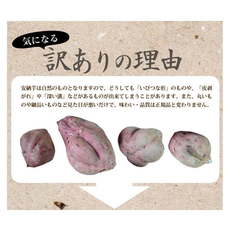 （2セットで500円OFFクーポン）小さな安納芋1.5kg　種子島産　ご家庭用　訳あり