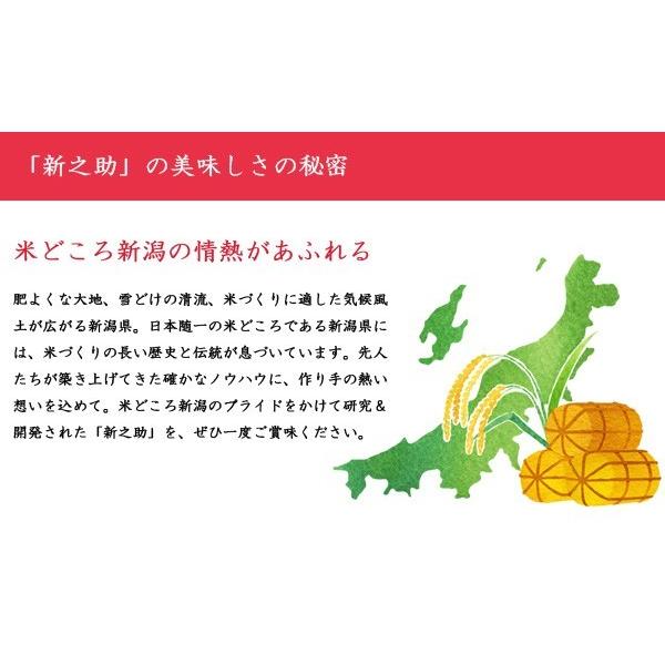 令和5年産 新米 2023年度産 米 新潟県産 新之助 5K 白米 (精米済) 代引不可 同梱不可