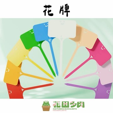 《花田多肉》🌵【花牌】 多肉植物/仙人掌/園藝/盆栽/花卉/食蟲植物/龍舌蘭/塊根/觀葉植物/開花植物/園藝/盆栽
