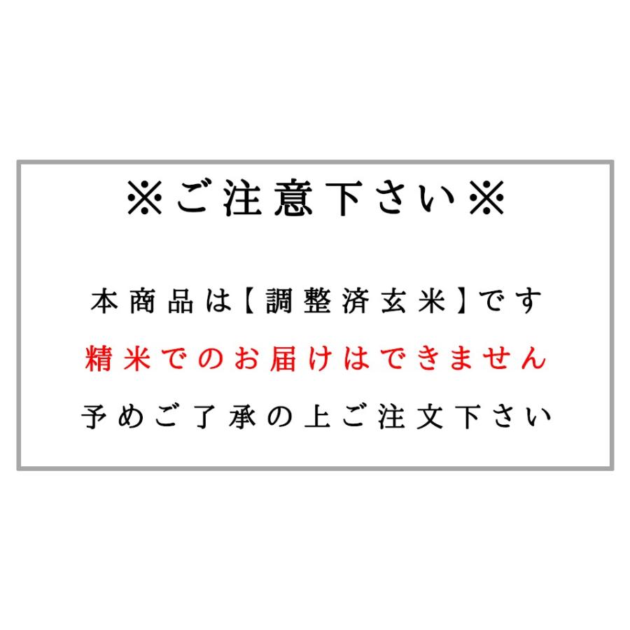 玄米 30kg 新米 令和5年産 あきたこまち 国内産 30kg(30kg×1袋) 送料無料 米 30kg キラッと玄米