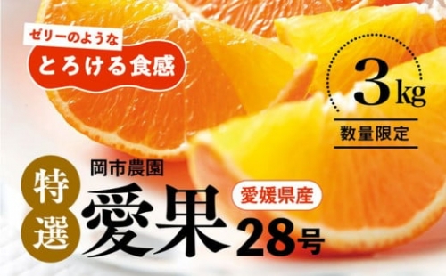 ＼農園直送／愛媛県産 愛果28号（特選） 3kg×1箱 限定50箱◆ ※2023年12月中旬頃～2024年1月中旬頃に順次発送予定