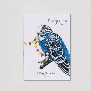 BIRDER 系列- Budgerigar
