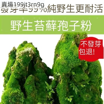 現貨 苔蘚種子（50000粒）青苔植物種子 陸缸 造景料 吸水上水石盆栽假山盆鋪面微景觀孢子粉 造景青苔 鮮活 發芽率高