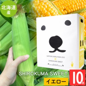 2024年 予約受付中 8月頃出荷開始 とうもろこし 北海道 送料無料 SHIROKUMA SWEET 北海道産 イエローコーン 10本   味来 ゴールドラッシ