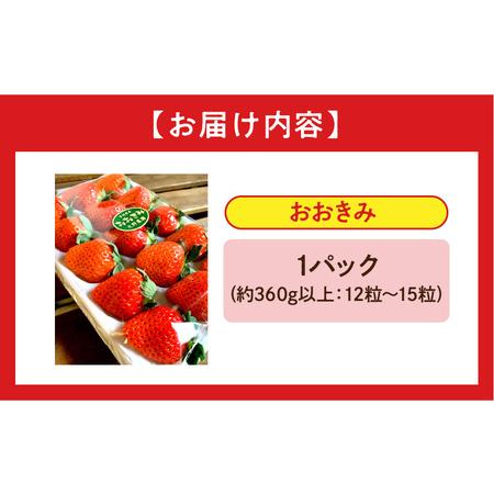 ふるさと納税 宮崎県産 イチゴ おおきみ 1パック (360g以上:12粒〜15粒程度) いちご 苺 果物 期間・数量限定 宮崎県宮崎市