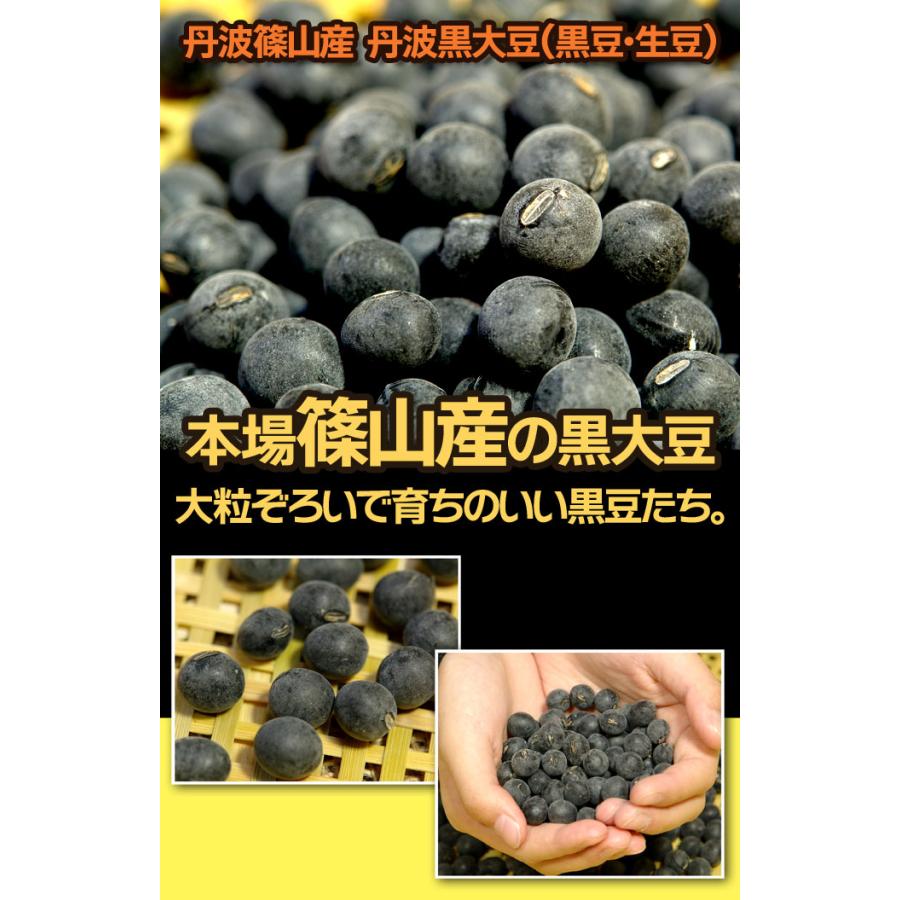 丹波 黒豆 黒大豆 生 豆 おせち 丹波の黒豆 丹波篠山産 兵庫県 令和4年 新豆 500g