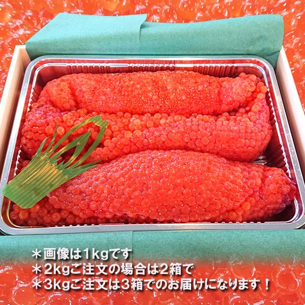 新潟産 生筋子（生いくら）季節限定「ずっしり大粒 生すじこ」 2kg 送料無料