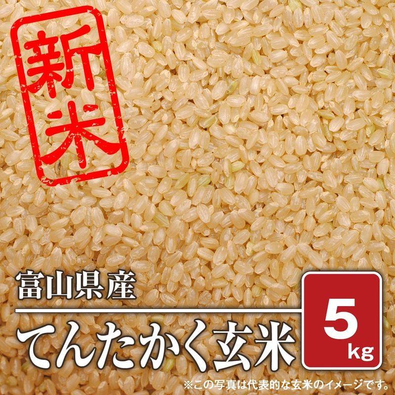 玄米富山県産 てんたかく （令和四年産）5kg