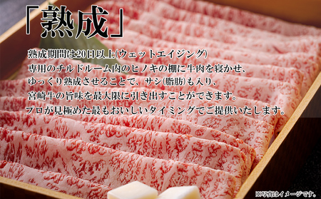 宮崎牛 ヒレ 150g×3 セット 合計450g ステーキソース付き 牛肉 ギフト箱入り A4 ブランド牛 冷凍 送料無料 国産 牛肉 南海グリル 贈り物 プレゼント 牛肉 ギフト 父の日 牛肉 母の日 お歳暮 牛肉 希少部位 ３D急速高湿冷凍 牛肉 旨味 ステーキ