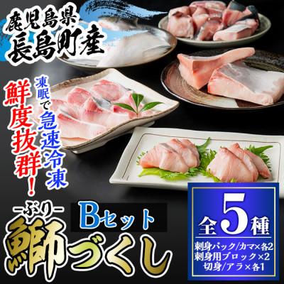 ふるさと納税 長島町 宝徳水産の鰤づくしBセット