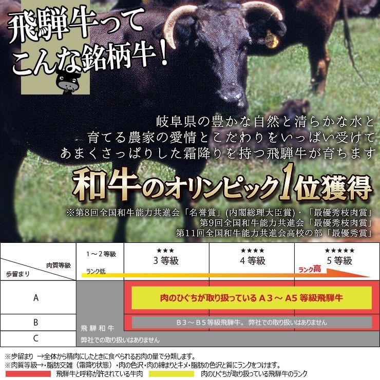 肉 福袋 牛肉 焼肉セット 飛騨牛 メガ盛り 1kg カルビ もも かた肉 赤身 約4〜5人 焼肉 焼き肉 黒毛和牛 バーベキュー バーベキューセット お取り寄せグルメ