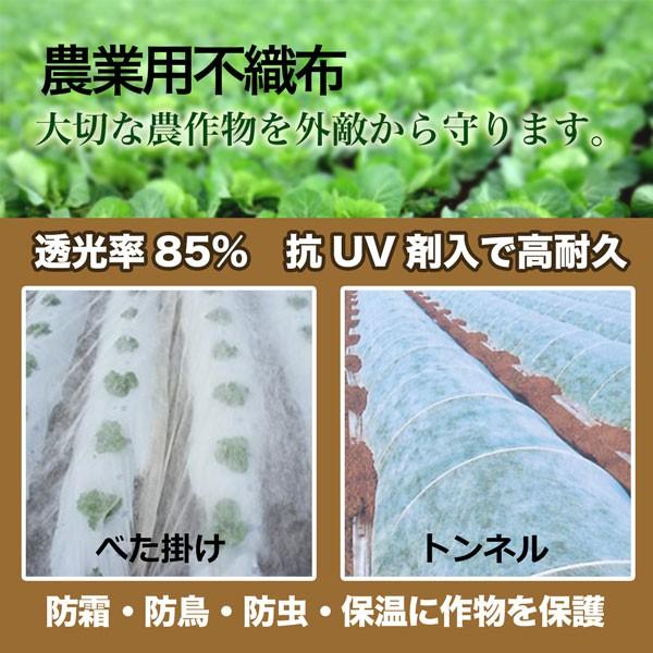 不織布 らくらくガードスーパー 農業用90cm×200m 2本組 白 防霜 防虫 防鳥 保温  農業資材 法人宛基本送料無料