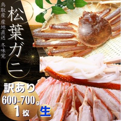 ふるさと納税 鳥取市 松葉がに(生・訳あり)600〜700g 1枚