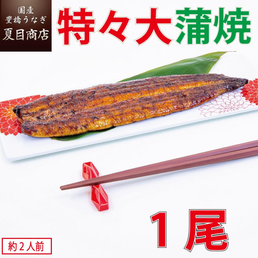 うなぎ 蒲焼き 国産 特々大211-249g×1尾 （約2人前） 送料無料の品物と同梱可