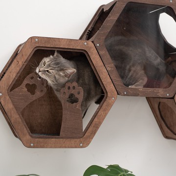 貓健身房牆 貓牆台階 貓屋 貓棲息處 貓樓梯