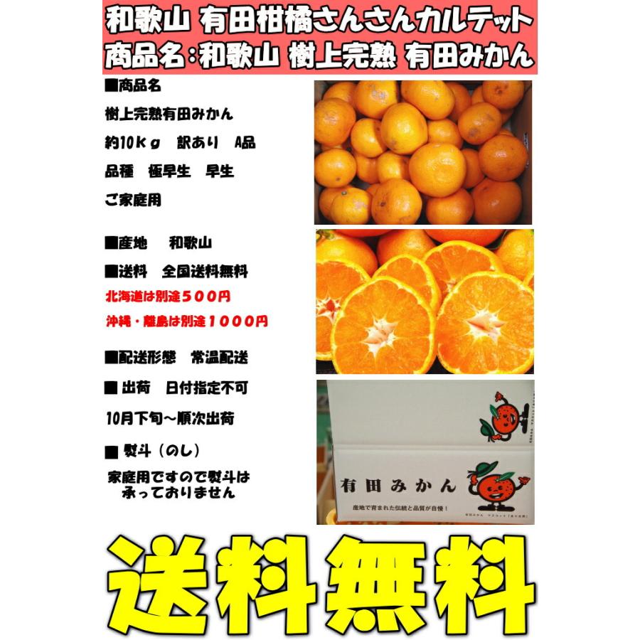 みかん 有田 訳あり 甘い 糖度 送料無料 和歌山 有田柑橘さんさん 樹上完熟 わけあり A品 早生 有田みかん 10kg 2l〜ss 家庭用 箱 買い ありたみかん 有田ミカン