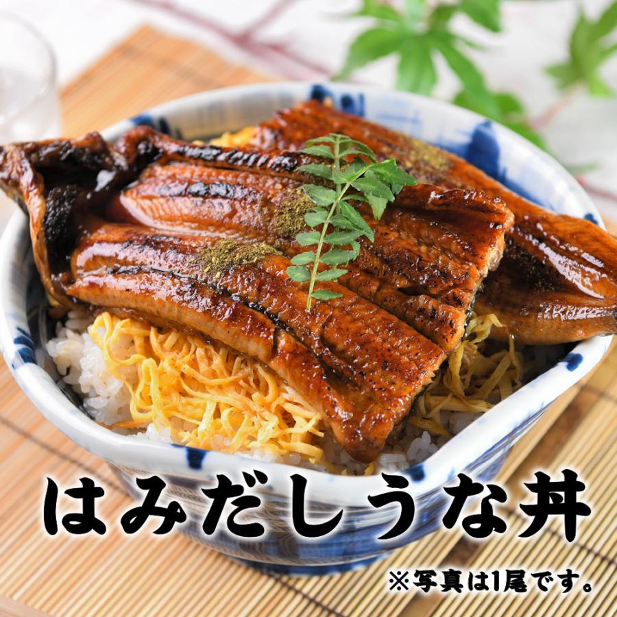 和牛 鰻 セット特大 うなぎ 蒲焼き 1尾と 黒毛和牛 ローススライス 300g 冷凍食品