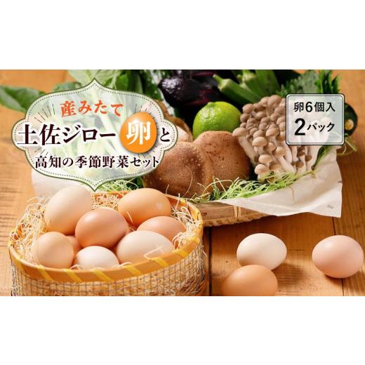 ふるさと納税 高知県 高知市 産みたて土佐ジロー卵（６ヶ入り×2パック）と高知の季節野菜セット