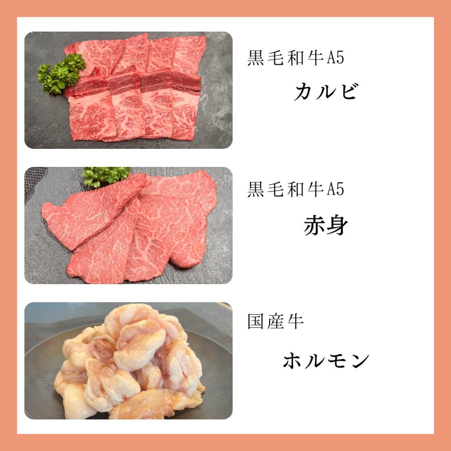 黒毛和牛A5　国産牛　お試し焼肉セット300ｇ　1〜2人前　カルビ　赤身　ホルモン 安い