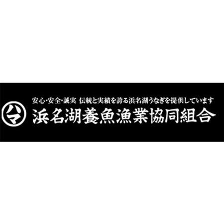 ふるさと納税 浜名湖うなぎ長蒲焼　2枚入 静岡県浜松市