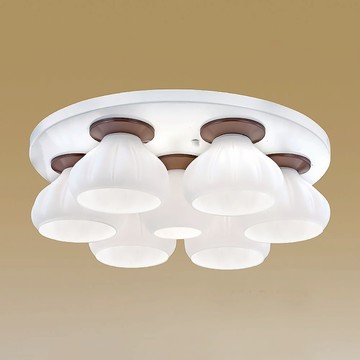 燈罩式吸頂六燈 B96-64-74302