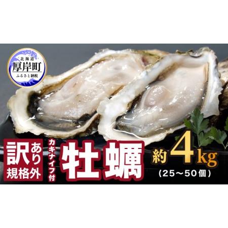 ふるさと納税 訳あり 牡蠣 北海道厚岸産 殻付カキ 約4kg (25から50個) カキナイフ付 生食 北海道厚岸町